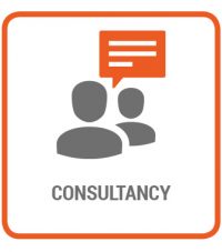 consultancy icon