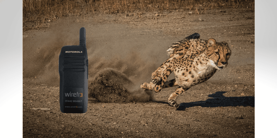 WAVE PTX - For fast pace business